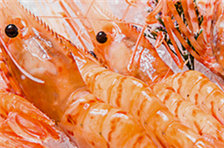 你知道吃虾有什么好处吗？哪些人不能吃虾？