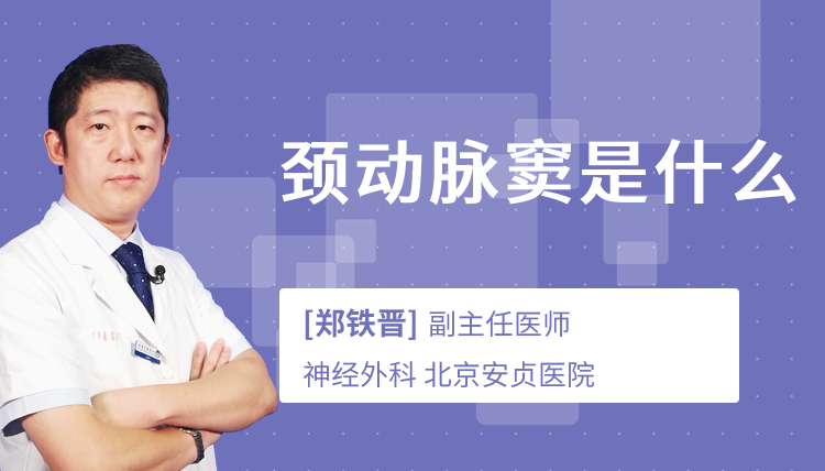 颈动脉窦是什么