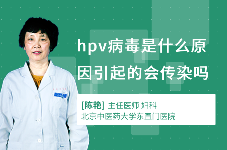 hpv病毒是什么原因引起的会传染吗